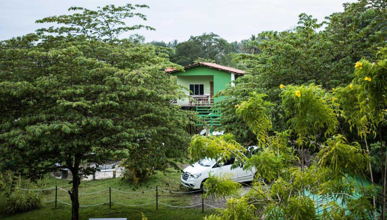 The Midway Jungle Resort Masinagudi Exterior foto